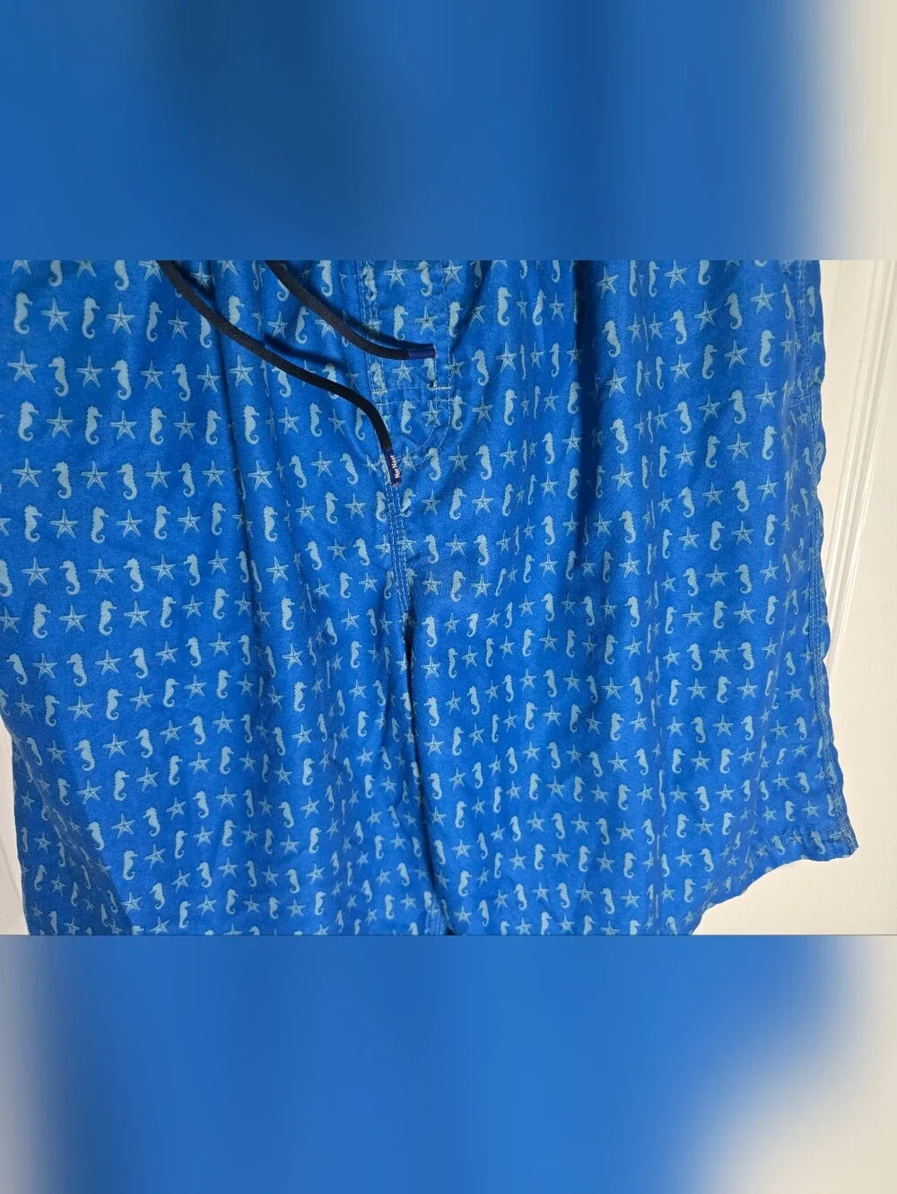 Nat Nast Mens Blue Boardshorts with Lining Swim Trunks Large